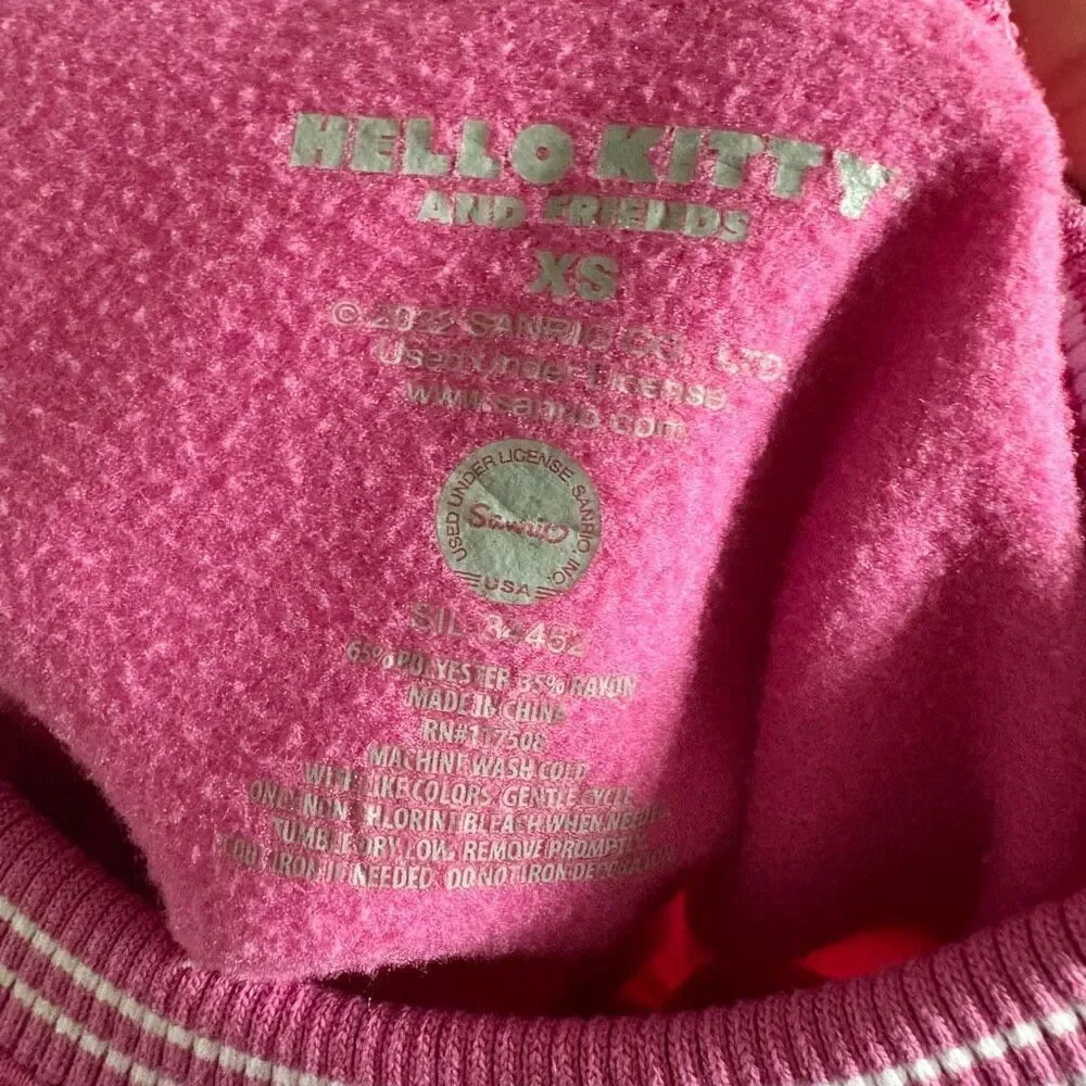 Hello Kitty Sweatshirt Size XS Sanrio My Melody Keroppi Pullover Pink Kidcore - Picture 5 of 8